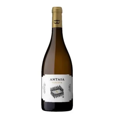 Domingues & Bessada Wines, Lda Antaia Reserva Alvarinho 2024 | Wines For Life