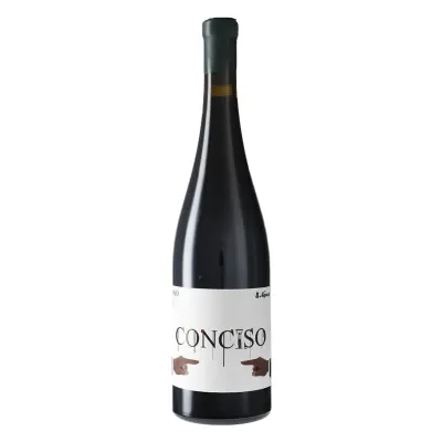 Niepoort Niepoort Conciso Vinho Tinto Dão 2014 | Wines For Life