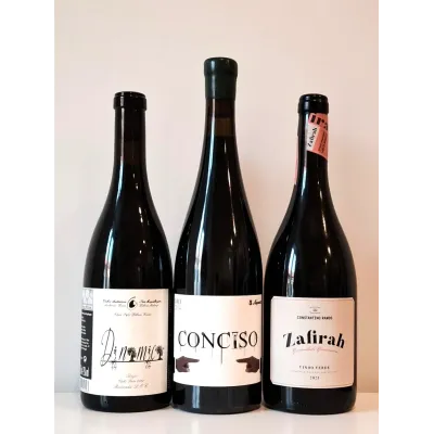 Pack Tintos Ligeiros e Frutados de Portugal